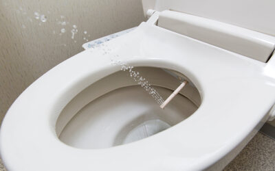 Plumbing Tips: Bidets Save on Toilet Paper and Cleaning
