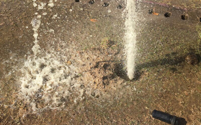 Slab Leaks