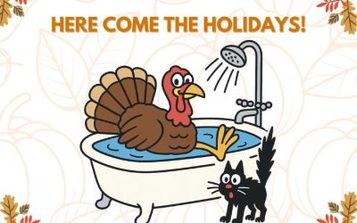 Holiday Plumbing Tips from Town & Country Plumbing Repair